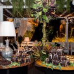 Aniversário Silvio Frota   Colosso 5