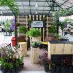 Mercado Das Flores Afranio Fernandes (4)