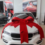 Cocktail Premium Car Store 11