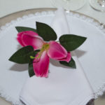 15 Anos De Maria Clara Accioly (8)