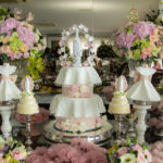 Batizado De Maria Eduarda Câmara (5)