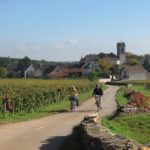 Percurso De 20 Quilometros De Bicicleta Atravessa Vilarejos Como Pommard Onde Se Pode Parar Para Degustacao De Vinhos Nos Arredores De Beaune