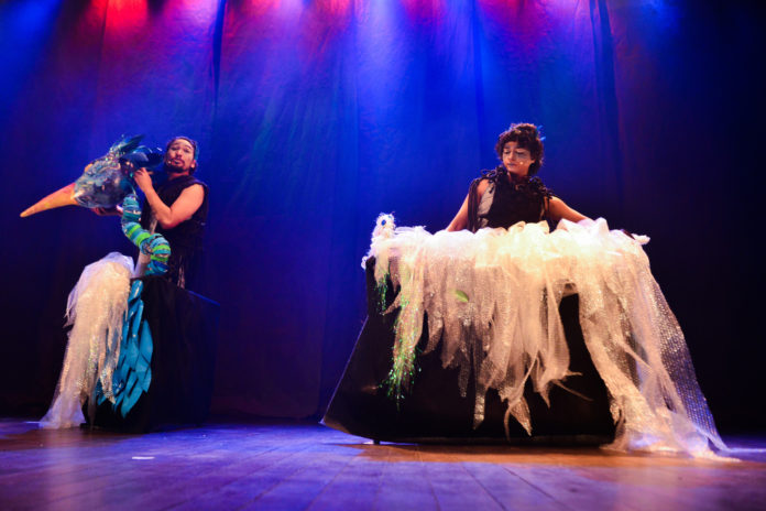 Presente De Cecília 1