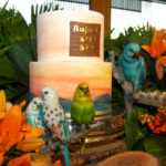 B Day De Rafael Pinto (3)
