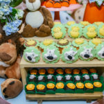 Niver Maria Beatriz Magalhães Benevides (5)