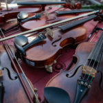 Projeto Ser Do Bem C 1