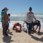 Semana Do Meio Ambiente Beach Park 12 20