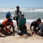 Semana Do Meio Ambiente Beach Park 14 22