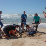 Semana Do Meio Ambiente Beach Park 15 23