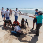 Semana Do Meio Ambiente Beach Park 16 24