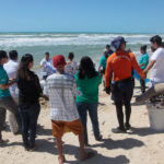 Semana Do Meio Ambiente Beach Park 19 27