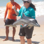 Semana Do Meio Ambiente Beach Park 21 29