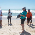 Semana Do Meio Ambiente Beach Park 22 30