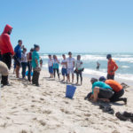 Semana Do Meio Ambiente Beach Park 24 32