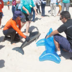 Semana Do Meio Ambiente Beach Park 27 35