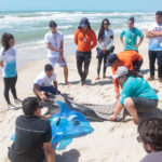 Semana Do Meio Ambiente Beach Park 28 36