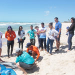 Semana Do Meio Ambiente Beach Park 29 37