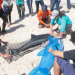 Semana Do Meio Ambiente Beach Park 30 38