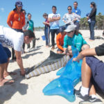 Semana Do Meio Ambiente Beach Park 31 39