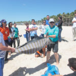 Semana Do Meio Ambiente Beach Park 32 40