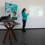 Semana Do Meio Ambiente Beach Park 35 4