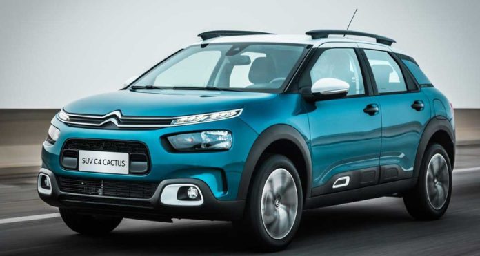 C4 Cactus