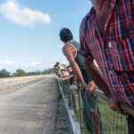 Gp Quarter Horse Show Jockey Club Cearense 4