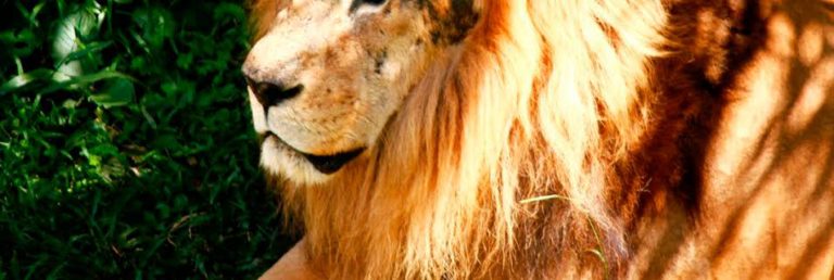 AA737951 3553 4827 9CA6 627A2C3E9D13