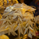 Meus XV Inspiration (8)