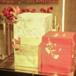 Niver Aline Barroso (7)