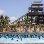 Ipom No Beach Park (42)