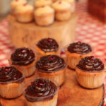 Pic Nic GNC Suécia   Volvo 5