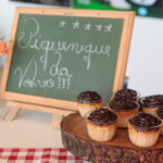 Pic Nic GNC Suécia   Volvo 6