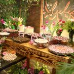 Aniversario Luiziane Cavalcante (7)