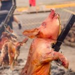 BBQ Show (21)