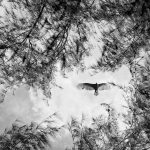 Beatriz Bley Fotografia (1) (1)