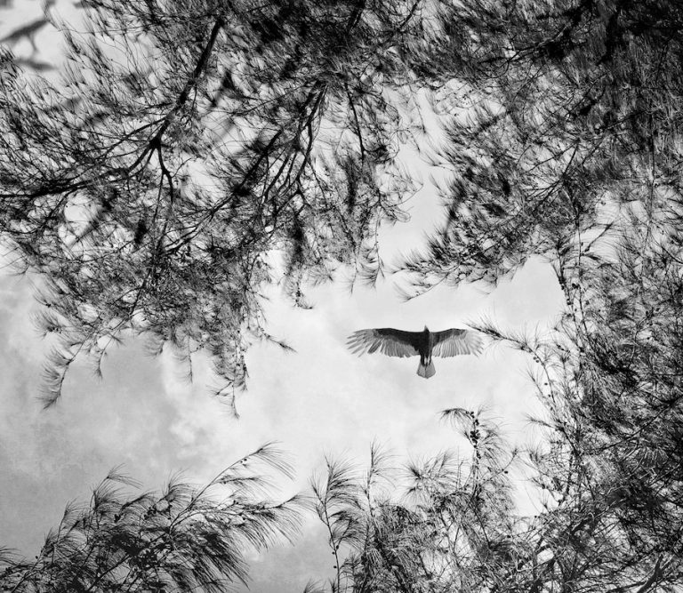 Coletivo de fotógrafas cearenses participa de exposição no Rio de Janeiro