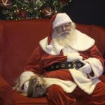 Inauguração Animal Pet