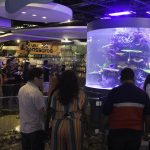 Inauguração Animal Pet (27)