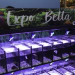 Inauguração Animal Pet (28)