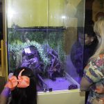 Inauguração Animal Pet (29)