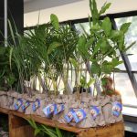 Lançamento Natal De Luz 2019 (15)