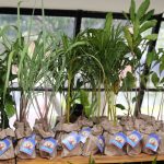 Lançamento Natal De Luz 2019 (16)