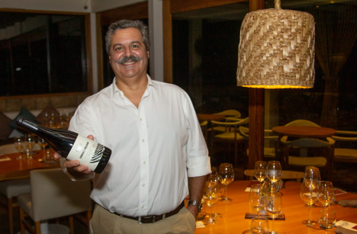 Paulo Laureano (1)