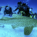 Phang Nga 1377660_900x400
