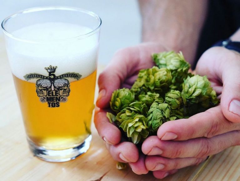 Sabor sob medida: onde degustar cervejas artesanais cearenses