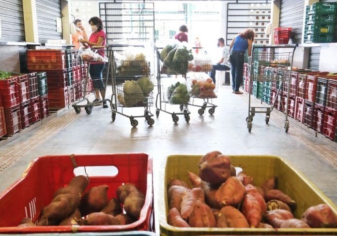 Alimentos Orgânicos (Foto Edimar Soares)