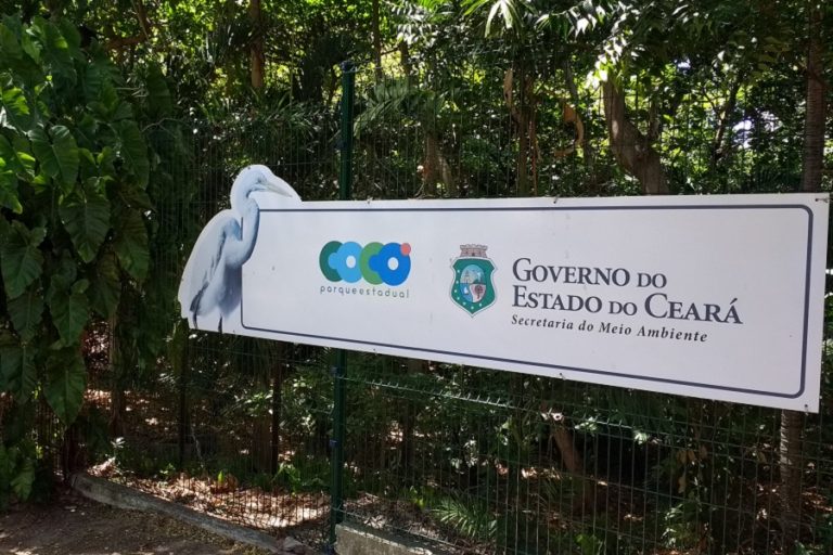 Primeira lua cheia do ano será celebrada com meditação no Parque do Cocó