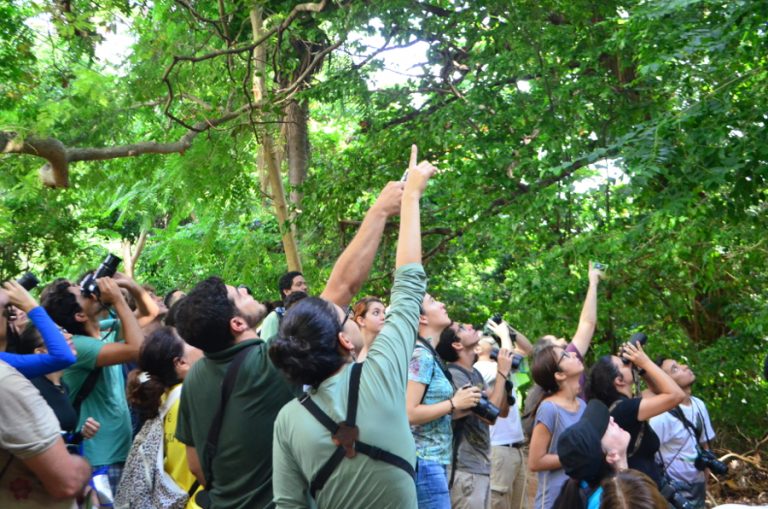 Viva o Parque inicia observação de pássaros no Cocó