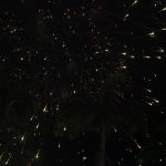 Reveillon 2k20 (19)